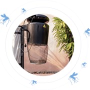 Система AERO – эффективная борьба с насекомыми фотография