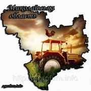 Новая информация о сельхозпредприятиях Николаевской области фотография