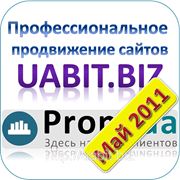 Новый рейтинг Дилеров портала Prom…ua за Май 2011 г. фотография