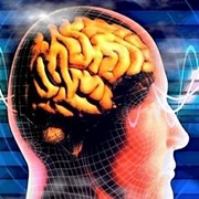 Анализ адаптивности и стрессоустойчивости фотография