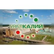 «Уралкалий» ответил на указ Лукашенко решением прекратить экспорт через БКК фотография