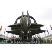 В НАТО констатируют расширение сотрудничества с Украиной фотография
