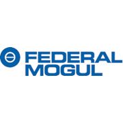 Расширение ассортимента по моторной группе Federal-Mogul (июль 2010) фотография
