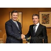 Президент Украины Виктор Янукович в Нью-Йорке провел встречу с Генеральным секретарем НАТО Андерсом Фог Расмуссеном. фотография