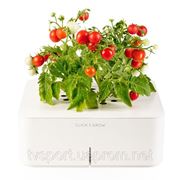 Новинка Умный вазон мини томаты Click & Grow smartpot (C&GS5EN) Купить в Киеве 600грн. фотография