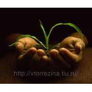 «Проект» — Утвержден Приказом Министерства природных ресурсов и экологии Российской Федерации фотография