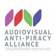 Создан новый Альянс по борьбе с аудиовизуальным пиратством фотография