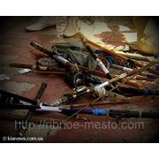 В Севастополе уничтожили запрещенные орудия рыбной ловли фотография
