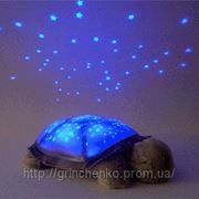 Ночник Черепаха Звездное Небо. 3 вида фотография