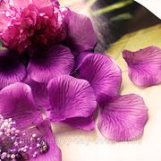 Шелковые лепестки роз - новые цвета! фотография