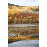 Отдых на Байкале осенью фотография