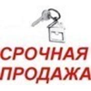 Срочные продажи квартир на 04.10.12 - риэлтор Одесса Роман Ройтман фотография