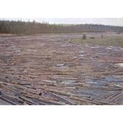 Одно из предприятий Вологодской области планирует начать заготовку «подводной» древесины фотография