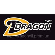 Презентация нового логотипа масел торговой марки «DRAGON» фотография