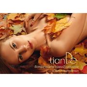 Встречайте новый осенний каталог TianDe! фотография