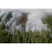 Сводные планы тушения лесных пожаров фотография