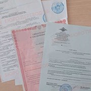 Справка о несудимости с апостилем в Краснодаре фотография