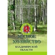 Во Владимирской области вышла в свет книга о замечательных людях, посвятивших свою жизнь лесу фотография