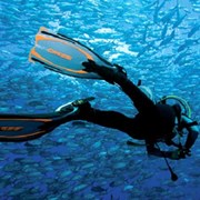Сухие гидрокостюмы от DivingWolf фотография