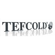 професиональная холодильная и морозильная техника TEFCOLD уже на складе!!! фотография