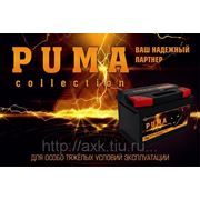 Начинаются поставки в Россию автомобильных аккумуляторов "PUMA" фотография