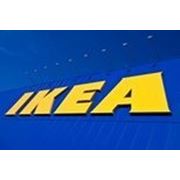 Новгородская область: «IKEA» гарантирует экологическую безопасность нового предприятия фотография