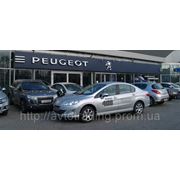 Автоцентр «Автотрейдинг» провел Дни открытых дверей Peugeot 408 фотография