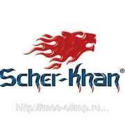 scher khan 4 фотография