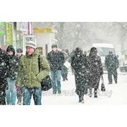 На Беларусь идет еще один снежный циклон фотография