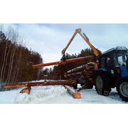 Утверждены новые Правила реализации древесины в Беларуси. фотография