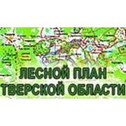 В Лесной план Тверской области внесены изменения фотография