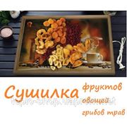 Новинка 2014! сушилка для овощей/фруктов/трав/грибов и йогуртов. фотография
