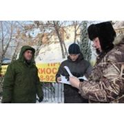 «Елочных» браконьеров в Новосибирской области стало меньше фотография