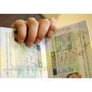 Українці на другому місці за кількістю отриманих шенгенських віз фотография