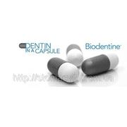 Septodont презентує Biodentine фотография