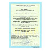 Сертификат ISO 9001:2009 (ISO 9001:2008) фотография