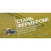 Д.Н.Патрушев на съезде АККОР объявил о старте информационно-просветительской программы для начинающих фермеров фотография