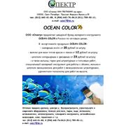 Ocean Color фотография
