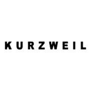 Новинка от Kurzweil! фотография