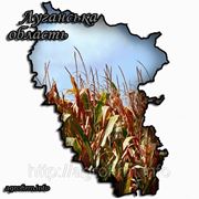Обновления справочника «Сельхозпредприятия Луганской области» фотография