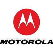 Motorola розробляє смартфон Google «X» фотография
