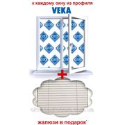 Акция недели - к окнам VEKA жалюзи в подарок фотография