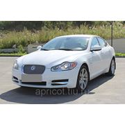 Необыкновенный автомобиль Jaguar XF белого цвета! фотография