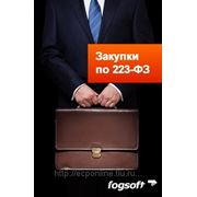 ЭЦП для сайта zakupki.gov.ru в соответствии с 223-ФЗ фотография