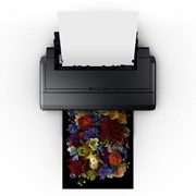 Опция рулонной печати в подарок для Epson SC-P800 фотография