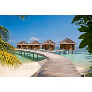 Акции от отелей Мальдивских островов в июне!!! фотография