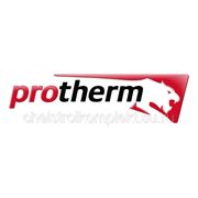 5 августа в продажу поступили газовые котлы фирмы PROTHERM (Чехия) фотография