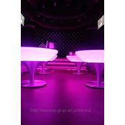 Напольные покрытия компании Excons Grup в Flamingo Karaoke&terrassa фотография