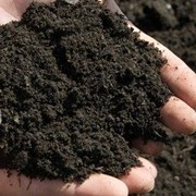 Чернозем (почва, почвогрунт) фотография
