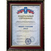 ЛИДЕР РОССИИ 2015 сертификат